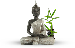 Vorming Vaardigheid Allergisch Boeddha betekenis | Boeddhashop, dé online Boeddha winkel!