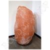 Roze Himalaya zoutlamp 51 kg_3