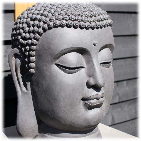 strand architect de begeleiding Boeddhashop - Boeddha's kopen in dé online Boeddha winkel!